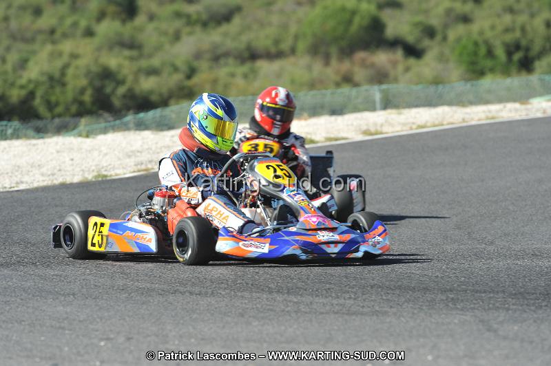 DSC (2675).JPG